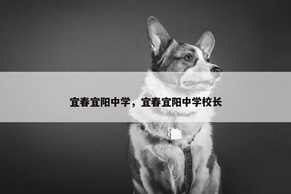 宜春宜阳中学，宜春宜阳中学校长