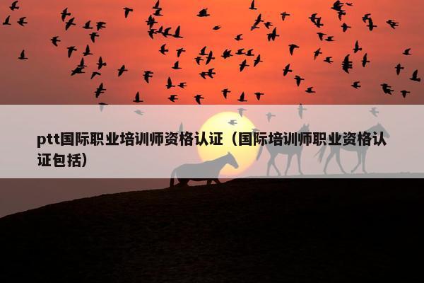 ptt国际职业培训师资格认证（国际培训师职业资格认证包括）