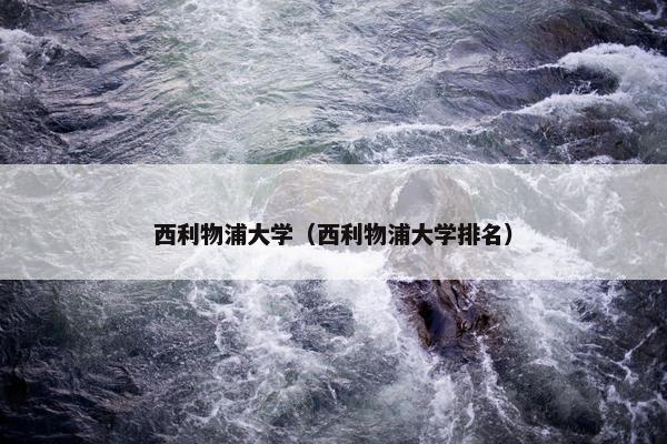 西利物浦大学（西利物浦大学排名）