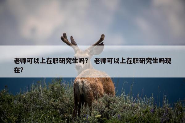 老师可以上在职研究生吗？ 老师可以上在职研究生吗现在？