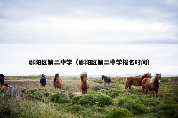 郧阳区第二中学（郧阳区第二中学报名时间）