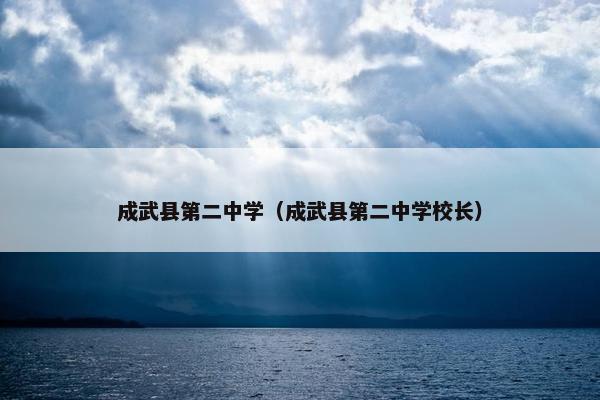 成武县第二中学（成武县第二中学校长）