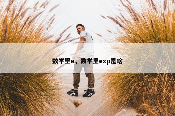 数学里e，数学里exp是啥