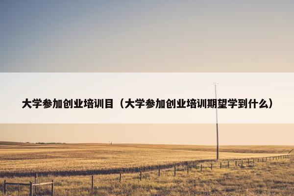 大学参加创业培训目（大学参加创业培训期望学到什么）