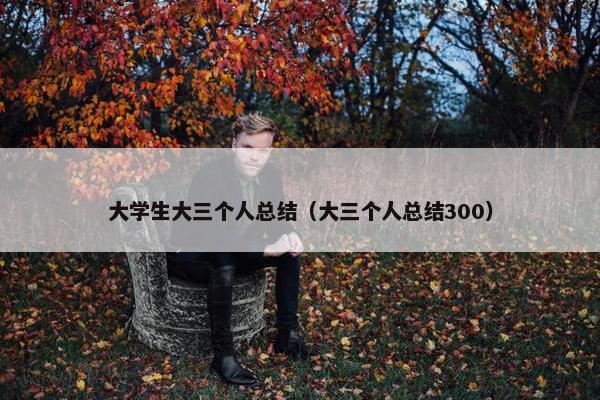 大学生大三个人总结（大三个人总结300）
