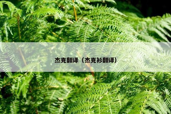 杰克翻译（杰克衫翻译）