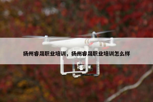 扬州睿晟职业培训，扬州睿晟职业培训怎么样