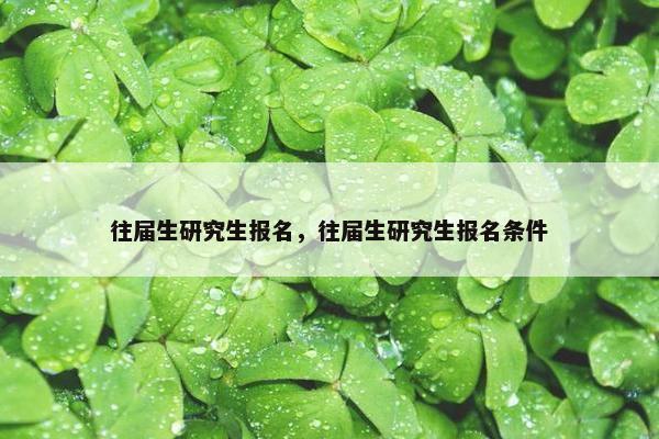 往届生研究生报名，往届生研究生报名条件