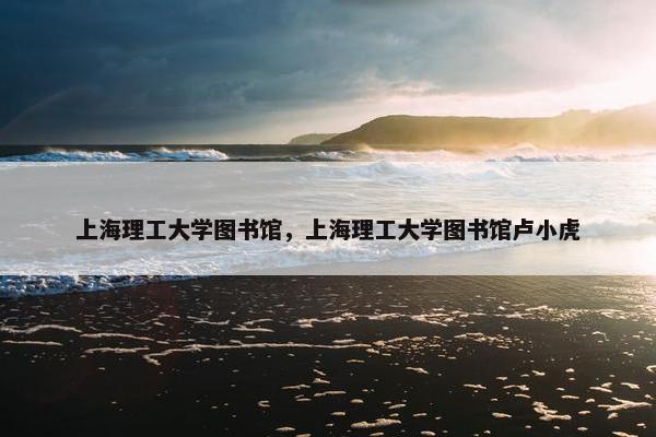 上海理工大学图书馆，上海理工大学图书馆卢小虎