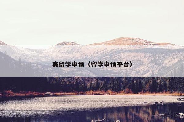 宾留学申请（留学申请平台）