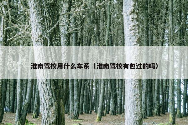 淮南驾校用什么车系（淮南驾校有包过的吗）