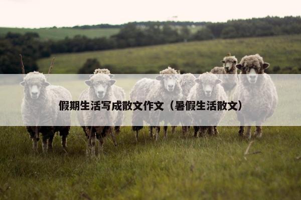 假期生活写成散文作文（暑假生活散文）