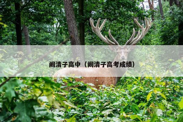 阚清子高中（阚清子高考成绩）