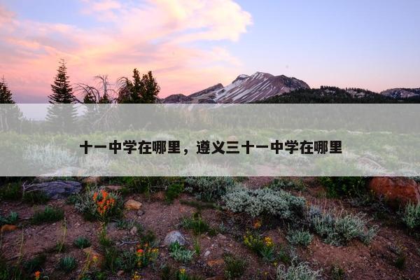 十一中学在哪里，遵义三十一中学在哪里