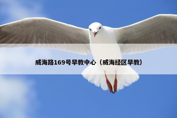 威海路169号早教中心（威海经区早教）