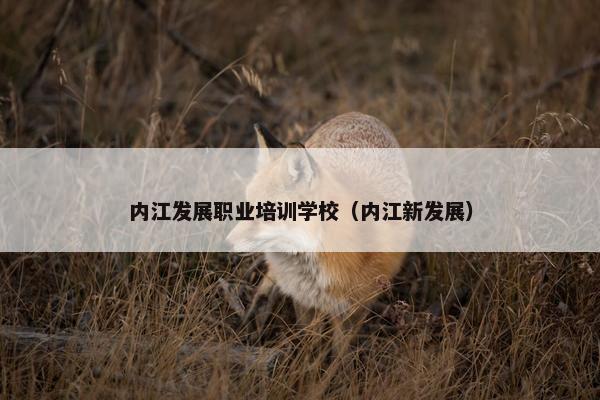 内江发展职业培训学校（内江新发展）