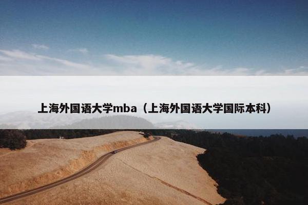 上海外国语大学mba（上海外国语大学国际本科）
