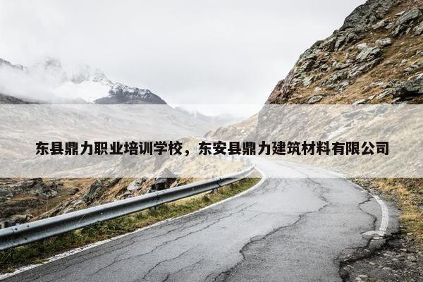 东县鼎力职业培训学校，东安县鼎力建筑材料有限公司