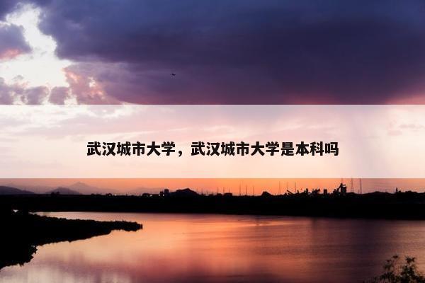 武汉城市大学，武汉城市大学是本科吗