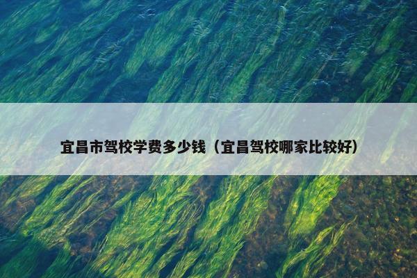 宜昌市驾校学费多少钱（宜昌驾校哪家比较好）