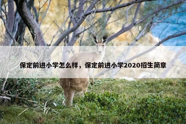 保定前进小学怎么样，保定前进小学2020招生简章