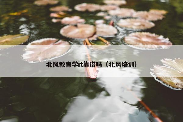 北风教育学it靠谱吗（北风培训）