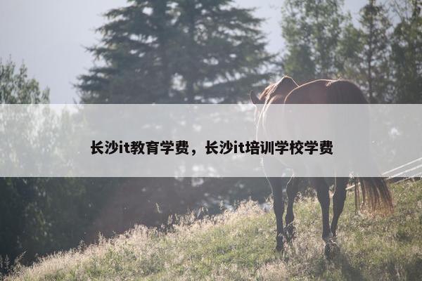 长沙it教育学费，长沙it培训学校学费