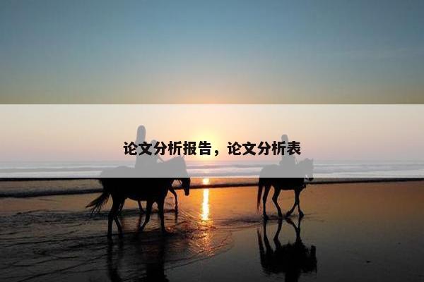 论文分析报告，论文分析表