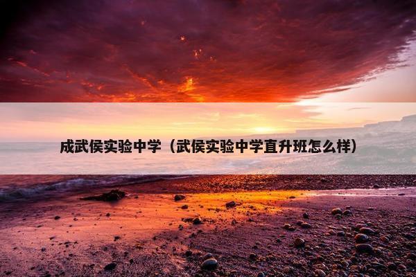 成武侯实验中学（武侯实验中学直升班怎么样）