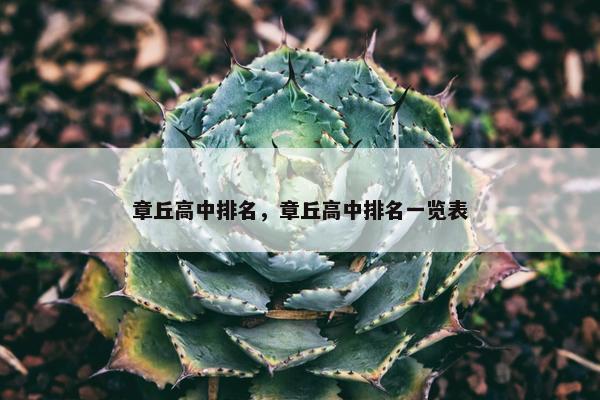 章丘高中排名，章丘高中排名一览表