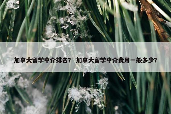加拿大留学中介排名？ 加拿大留学中介费用一般多少？