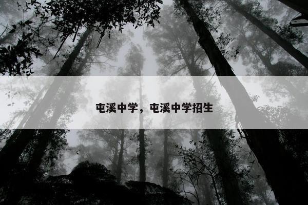 屯溪中学，屯溪中学招生