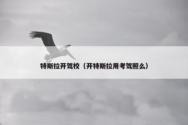 特斯拉开驾校（开特斯拉用考驾照么）