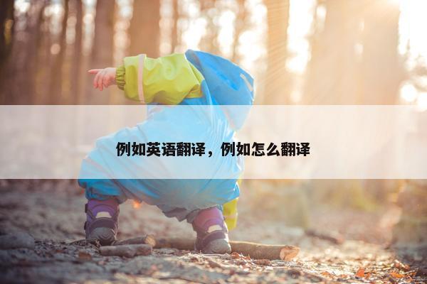 例如英语翻译，例如怎么翻译