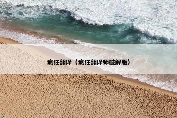 疯狂翻译（疯狂翻译师破解版）