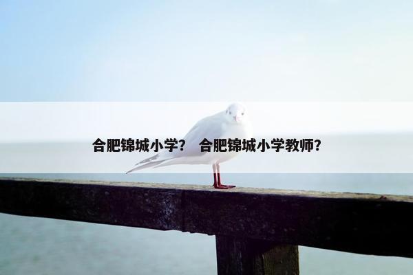 合肥锦城小学？ 合肥锦城小学教师？