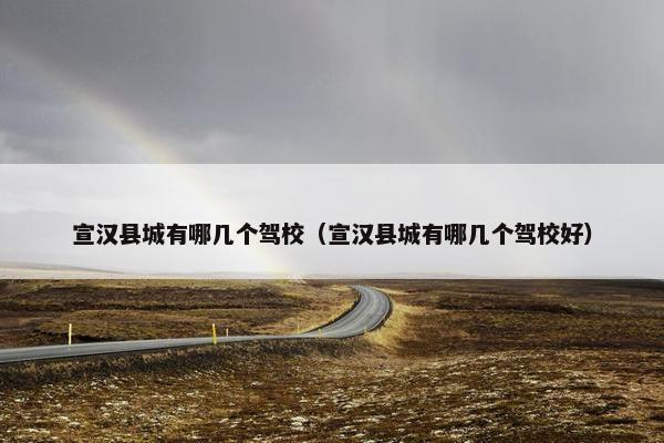 宣汉县城有哪几个驾校（宣汉县城有哪几个驾校好）