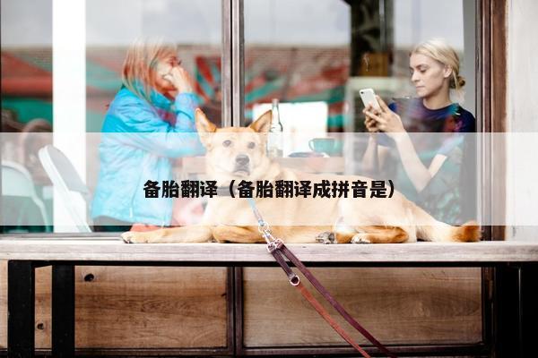 备胎翻译（备胎翻译成拼音是）