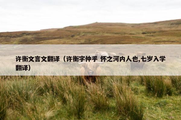 许衡文言文翻译（许衡字仲乎 怀之河内人也,七岁入学翻译）