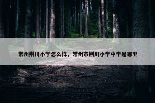 常州荆川小学怎么样，常州市荆川小学中学是哪里