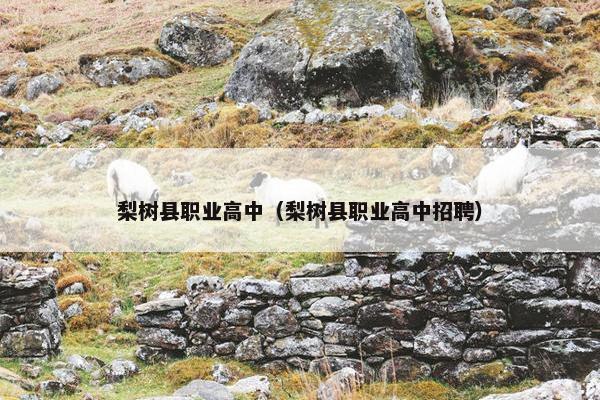 梨树县职业高中（梨树县职业高中招聘）