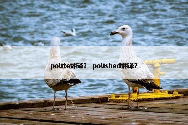 polite翻译？ polished翻译？