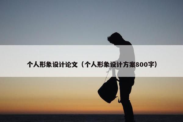 个人形象设计论文（个人形象设计方案800字）