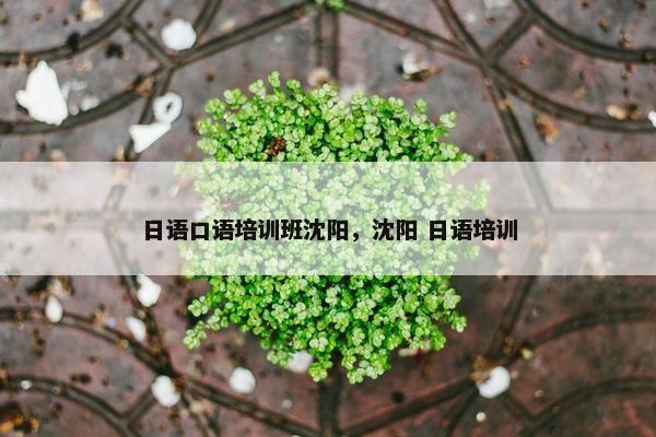 日语口语培训班沈阳，沈阳 日语培训
