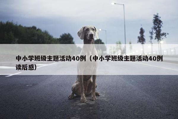 中小学班级主题活动40例（中小学班级主题活动40例读后感）
