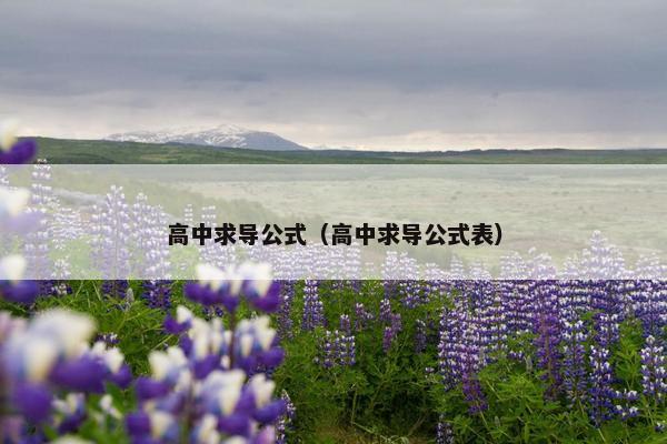 高中求导公式（高中求导公式表）
