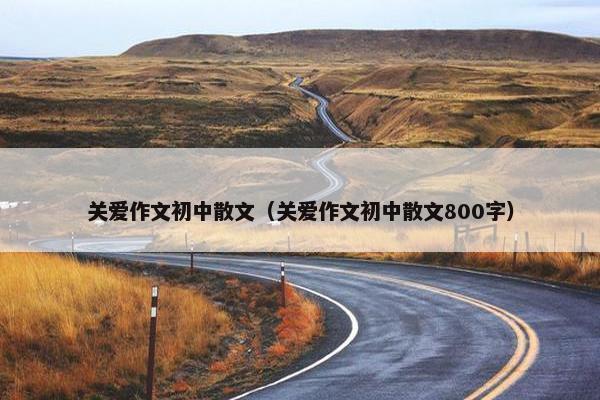 关爱作文初中散文（关爱作文初中散文800字）