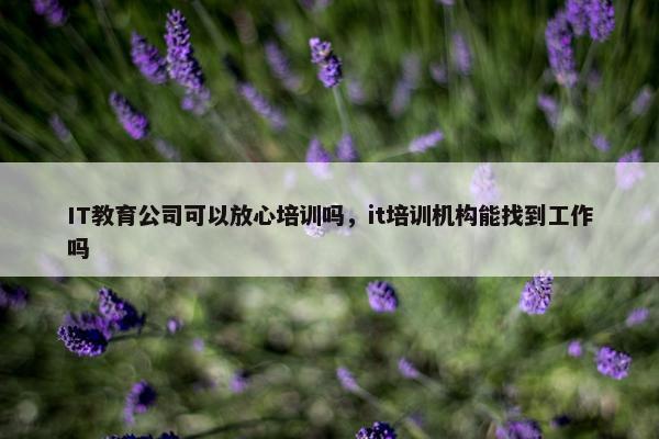 IT教育公司可以放心培训吗，it培训机构能找到工作吗
