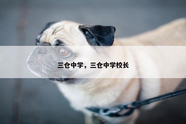 三仓中学，三仓中学校长