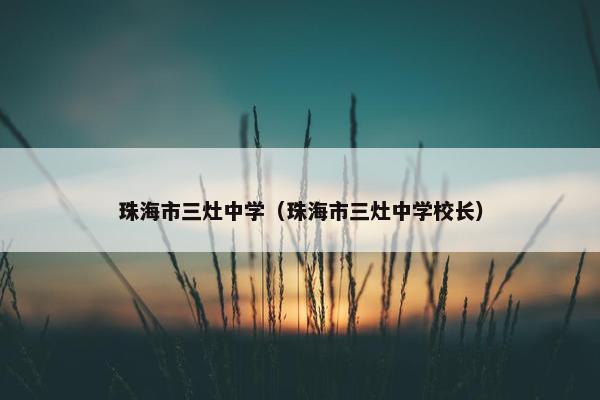 珠海市三灶中学（珠海市三灶中学校长）